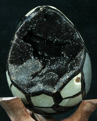 Septarian Dragon Egg Geode - Black Calcite Crystals #33979